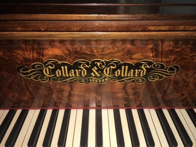 collard