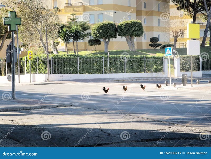 Descubre el Exclusivo Mundo de Chicken Road Casino en España in Spain